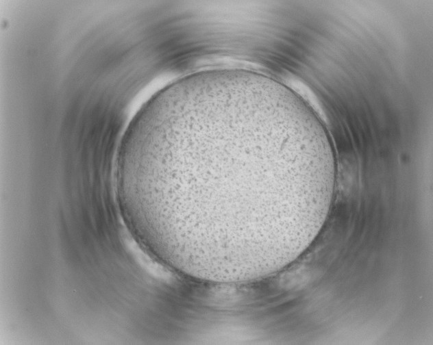 X0000088621098200706151846