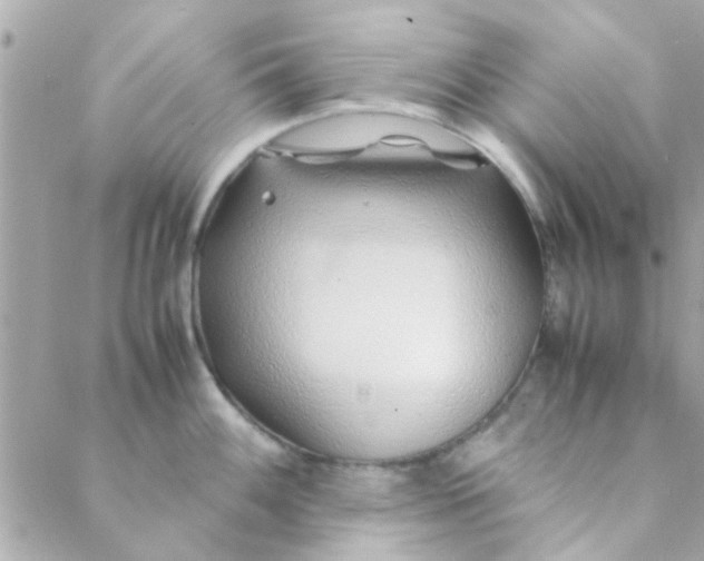 X0000088621100200706151846