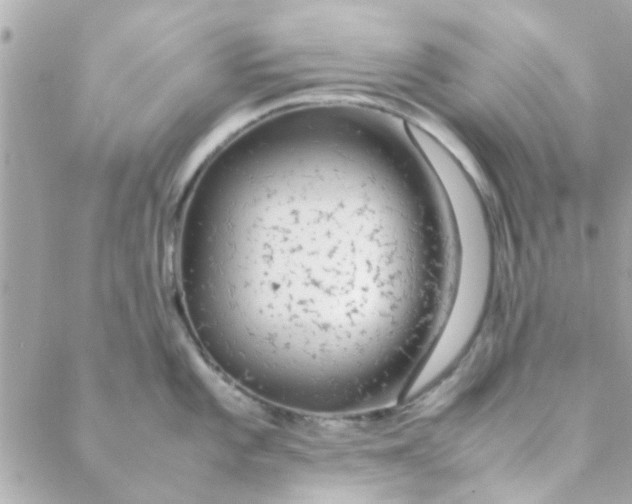 X0000088621101200706151846