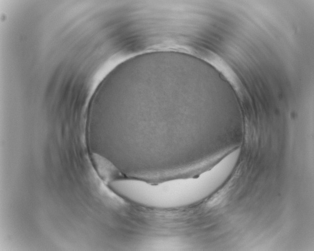 X0000088621102200706151846