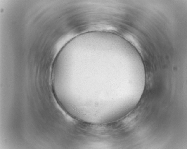 X0000088621103200706151846