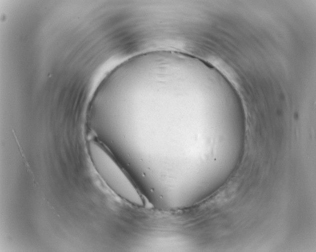 X0000088621104200706151846