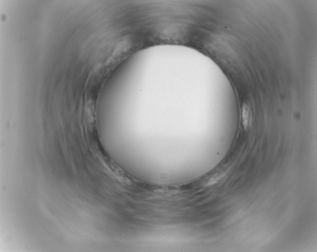 X0000088621107200706151845