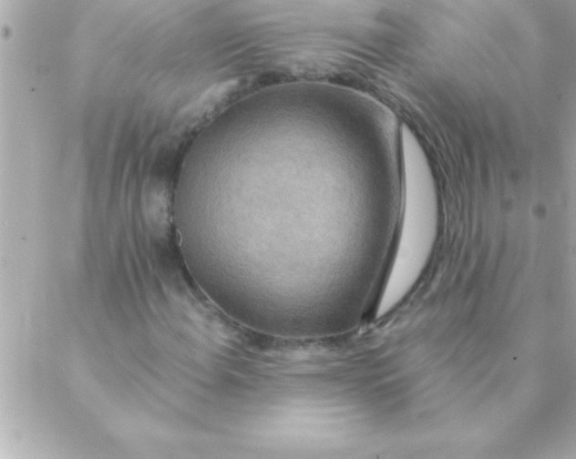 X0000088621108200706151845