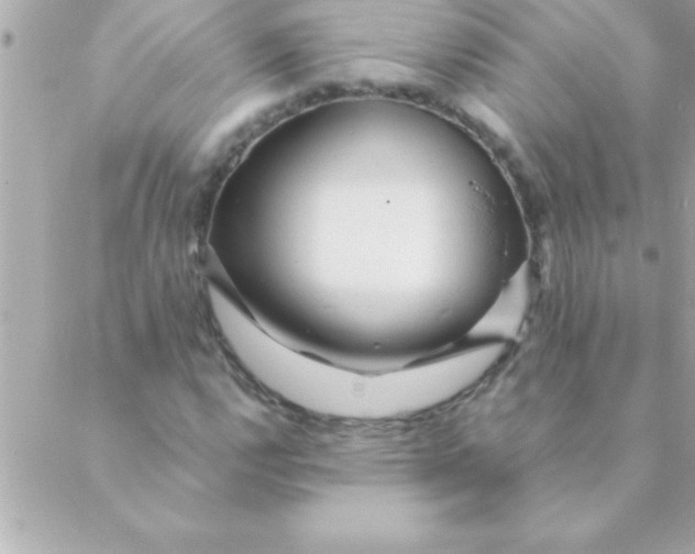 X0000088621112200706151845