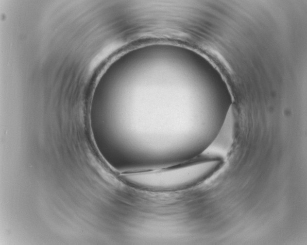 X0000088621114200706151845