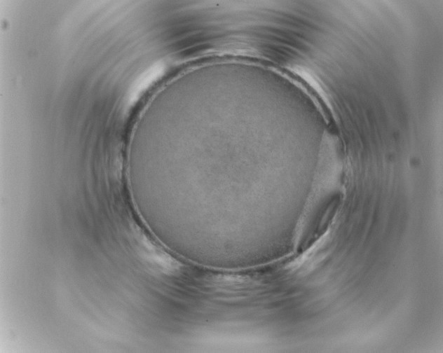 X0000088621115200706151845