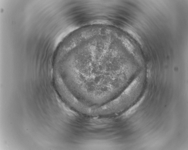 X0000088621117200706151845