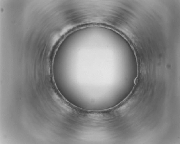 X0000088621118200706151845