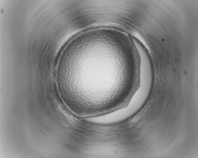 X0000088621124200706151845