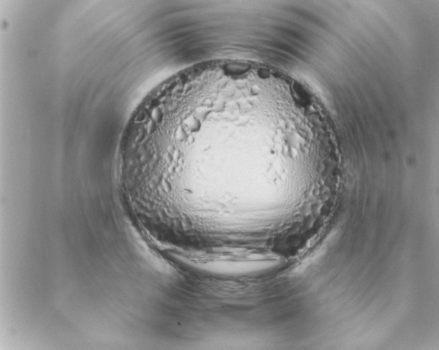 X0000088621125200706151845