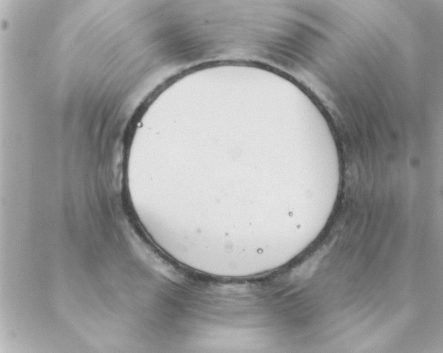 X0000088621126200706151845