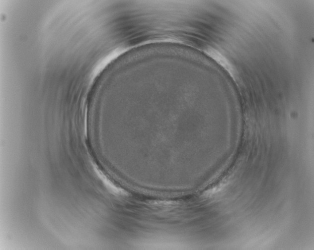 X0000088621127200706151845