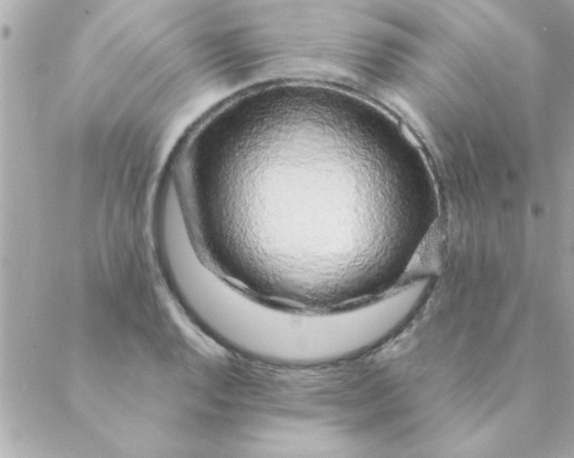 X0000088621128200706151845