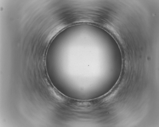 X0000088621129200706151845