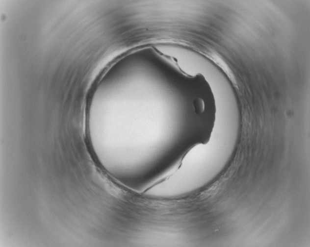 X0000088621132200706151845