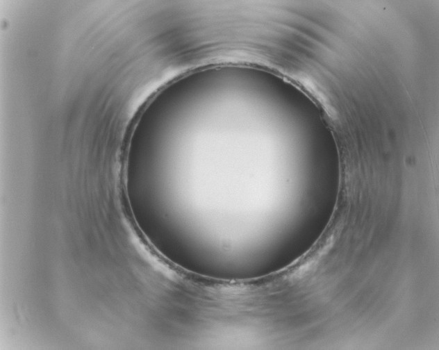 X0000088621134200706151845