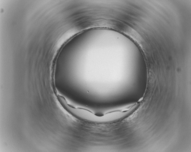 X0000088621135200706151845