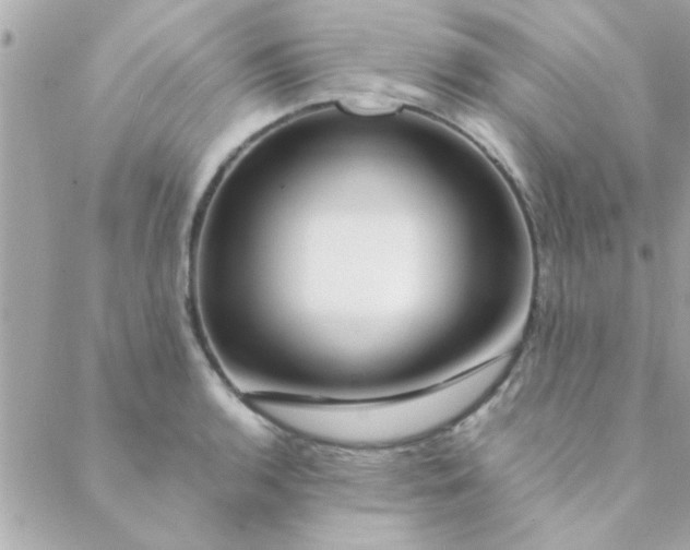 X0000088621136200706151845