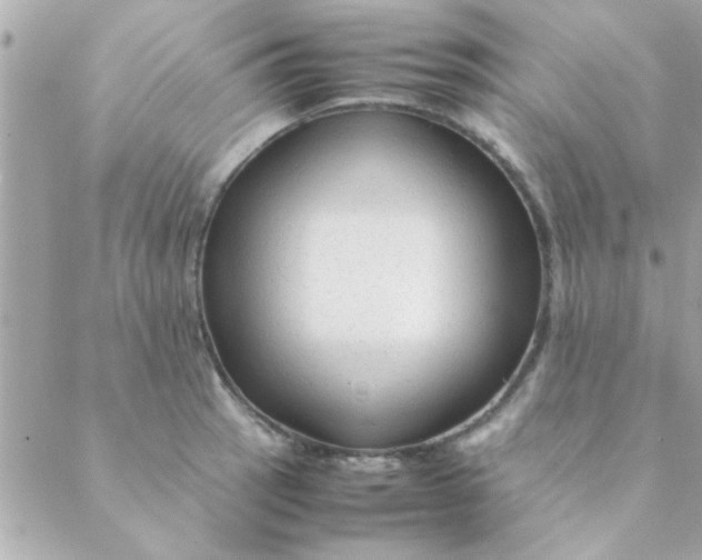 X0000088621137200706151845