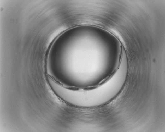 X0000088621138200706151845