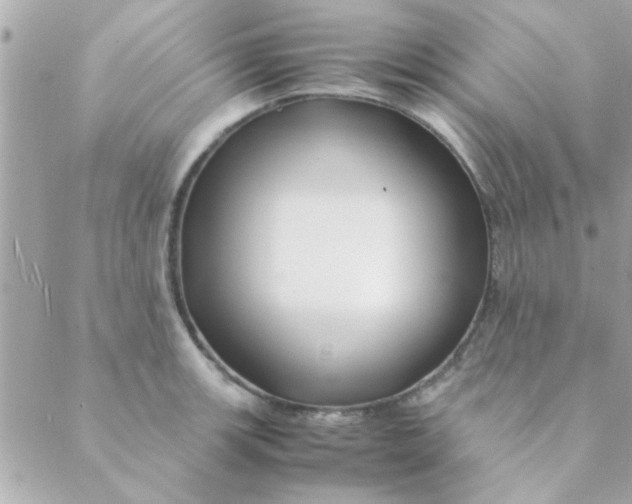 X0000088621139200706151845