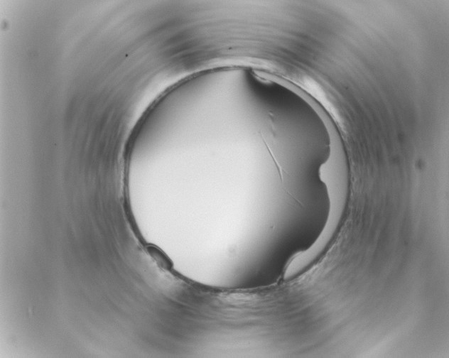 X0000088621140200706151845