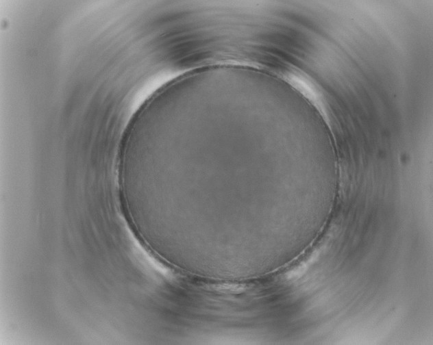 X0000088621141200706151845