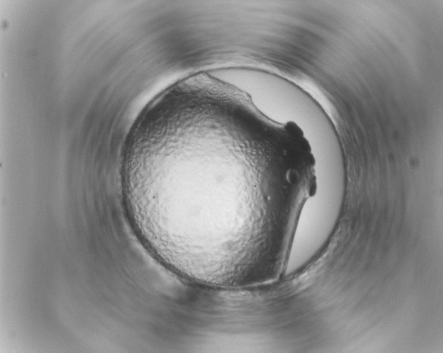 X0000088621142200706151846