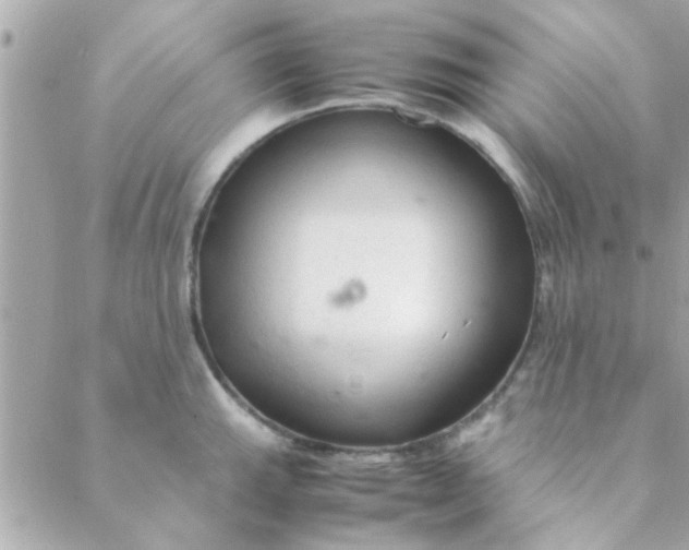 X0000088621143200706151846