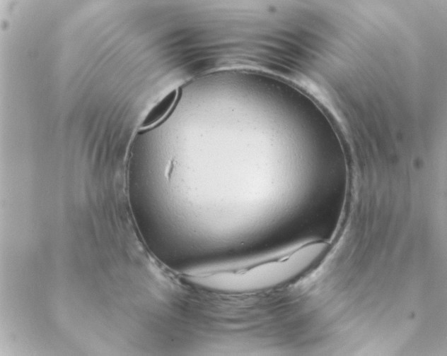 X0000088621145200706151846