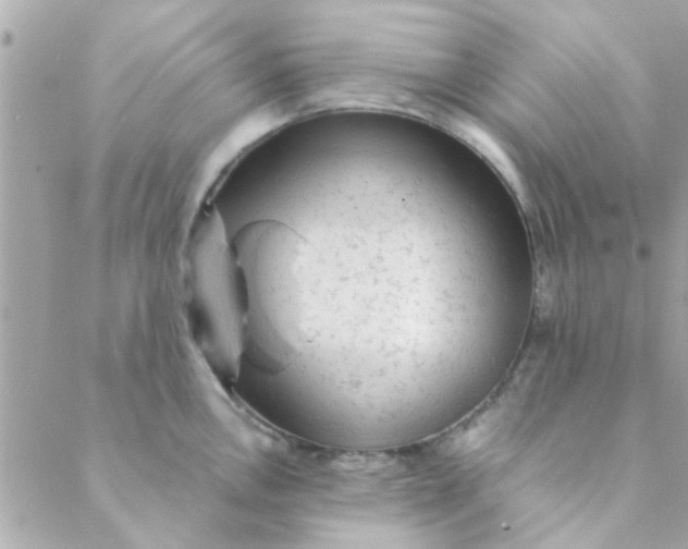 X0000088621146200706151846