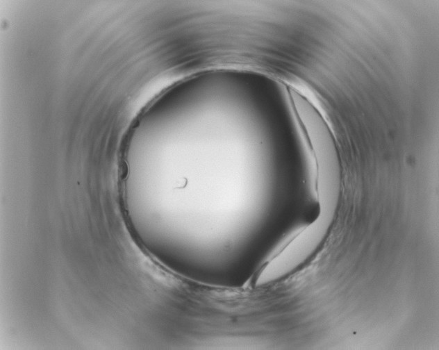 X0000088621147200706151846