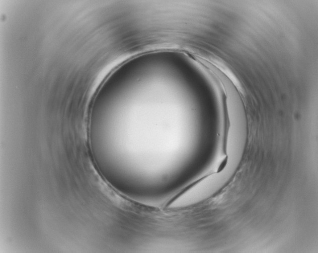 X0000088621148200706151846