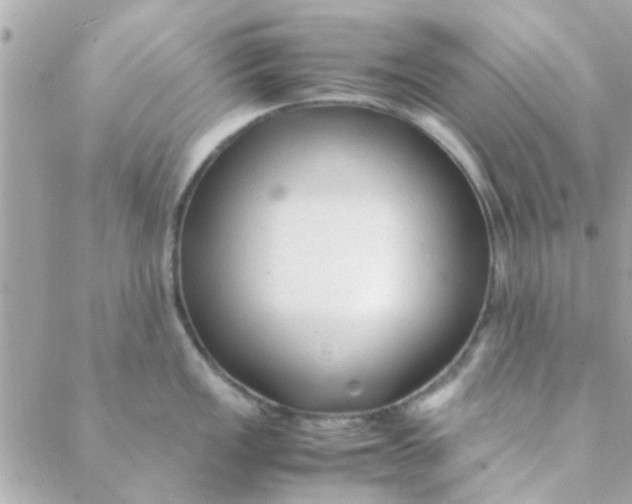 X0000088621149200706151846