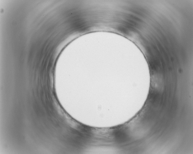 X0000088621150200706151846