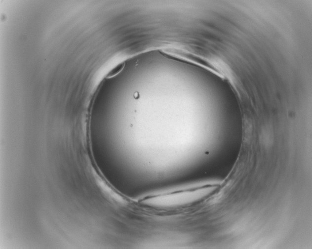 X0000088621151200706151846