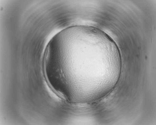 X0000088621152200706151846