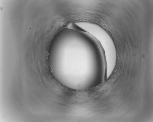 X0000088621153200706151845