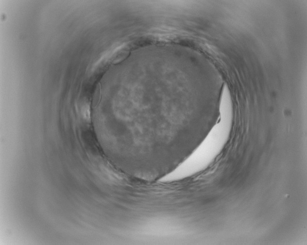 X0000088621155200706151845