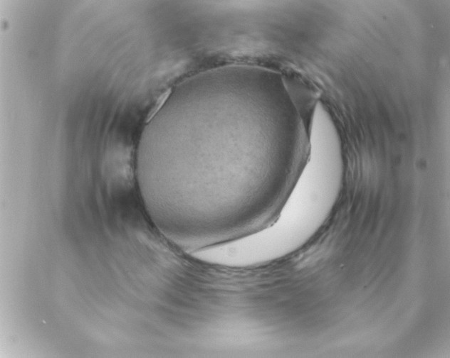 X0000088621156200706151845