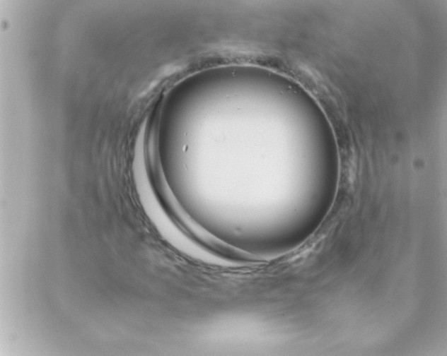 X0000088621157200706151845