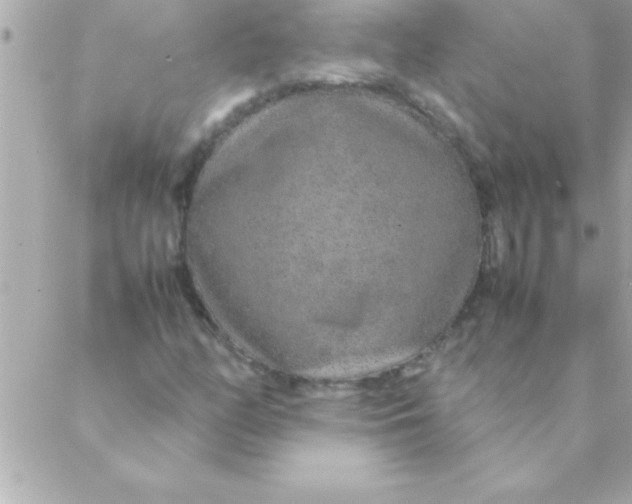 X0000088621158200706151845