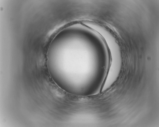 X0000088621160200706151845