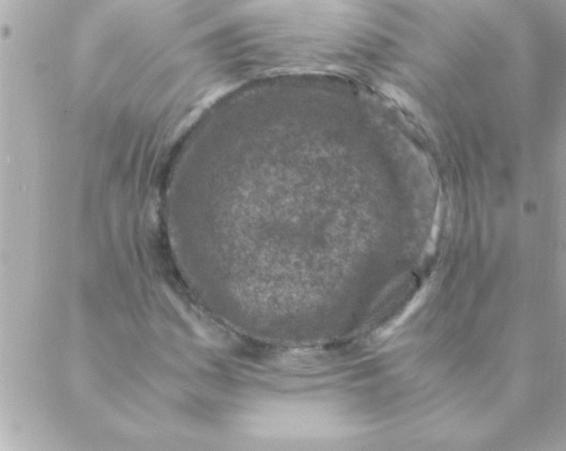 X0000088621161200706151845