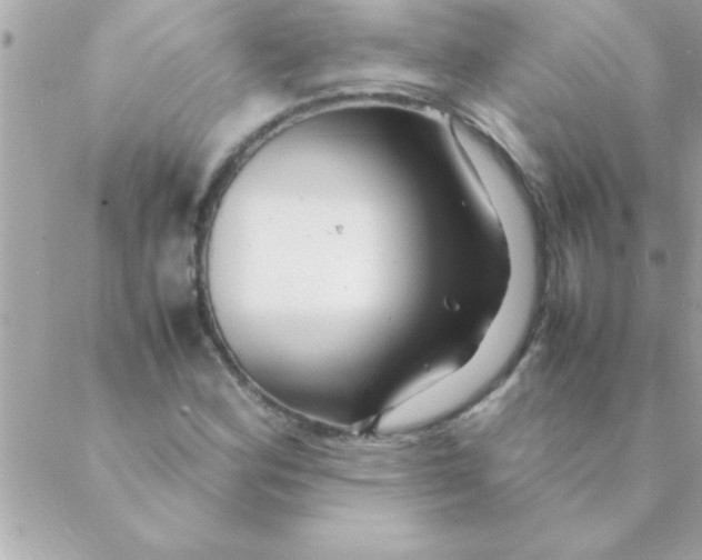 X0000088621164200706151845