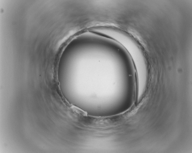 X0000088621165200706151845