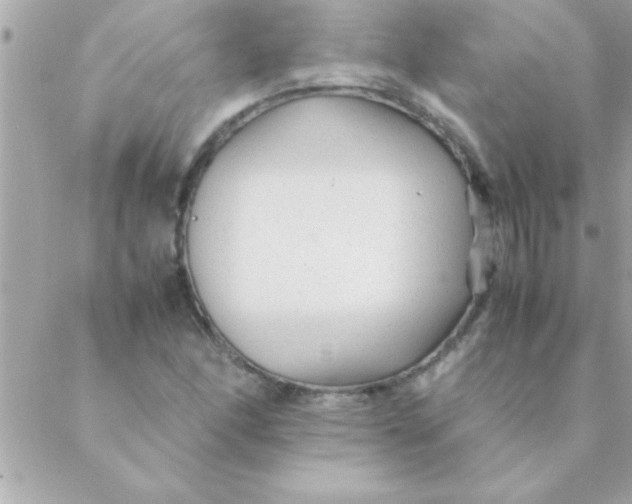 X0000088621166200706151845