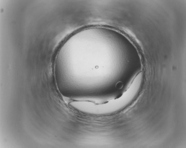 X0000088621167200706151845