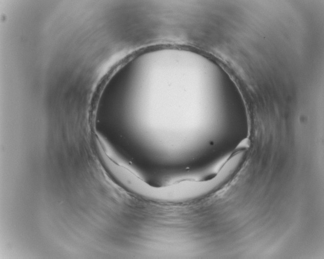 X0000088621168200706151845